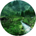 Nita Hegde profile picture